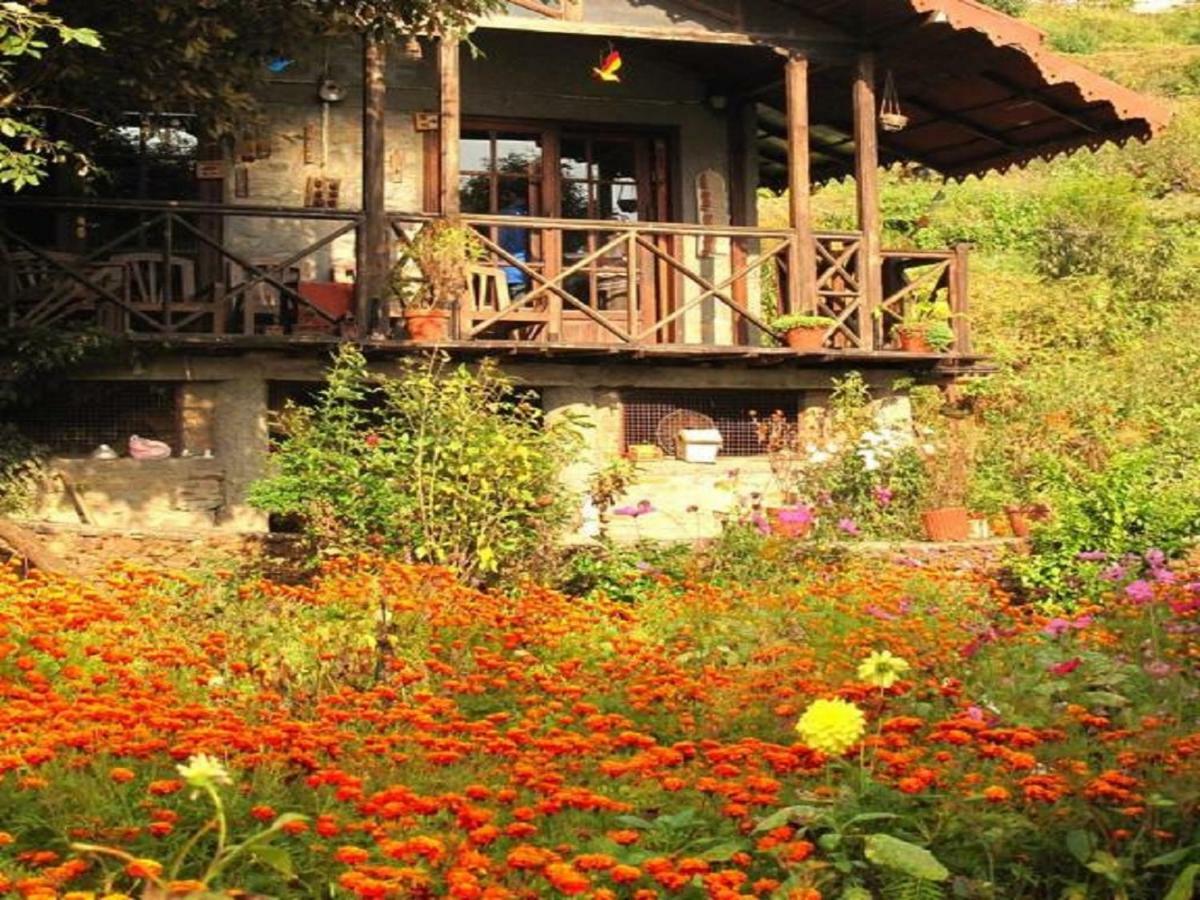 Jungle Lore Birding Lodge Nainital Dış mekan fotoğraf